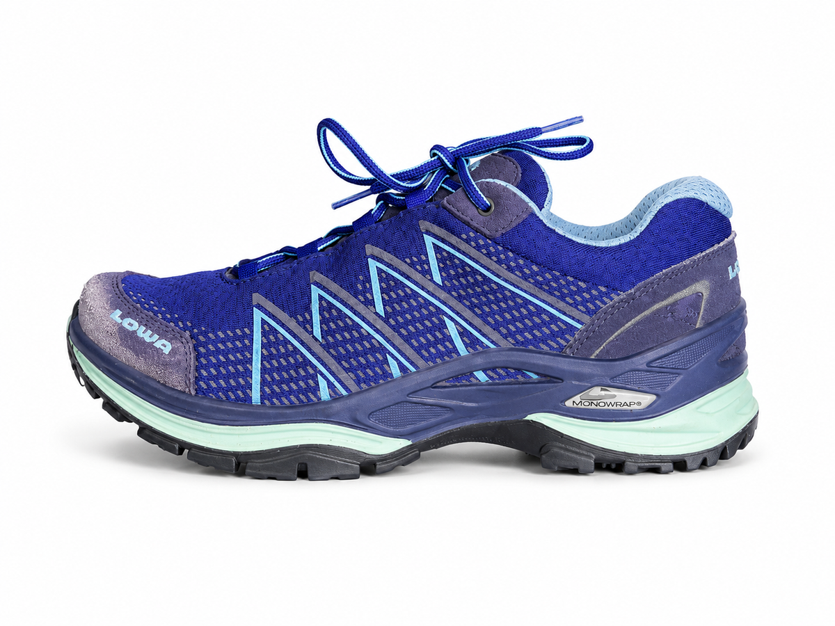 LOWA FERROX PRO GT LO HIKING